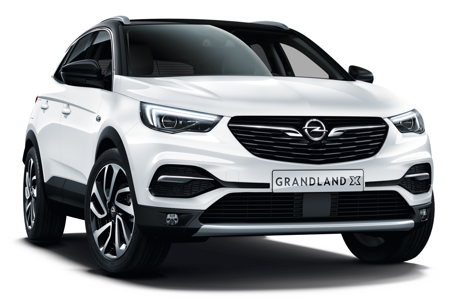 GRANDLAND X